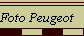 Foto Peugeot       