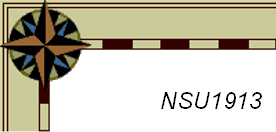 NSU1913