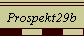 Prospekt29b